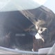 3N1AB7AD3JL662154 2018 Nissan Sentra auction photo thumbnail 9