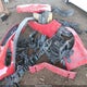 1FA6P8TH9R5120925 2024 Ford Mustang Ecoboost Premium Fastback auction photo thumbnail 12