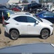 JTJGGCEZ4S5011508 2025 Lexus Nx 350 Premium auction photo thumbnail 14