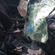 1HGCV1F1XJA242182 2018 Honda Accord Lx auction photo thumbnail 5