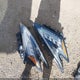5N1AZ2MS7KN114578 2019 Nissan Murano Platinum auction photo thumbnail 12