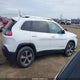 1C4PJMDN4KD295060 2019 Jeep Cherokee Limited 4X4 auction photo thumbnail 12