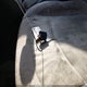 JN8AS5MT4DW522962 2013 Nissan Rogue S auction photo thumbnail 11