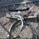 JN1BJ1CR0KW341259 2019 Nissan Rogue Sport Sv auction photo thumbnail 12