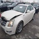 1G6DS5EV8A0115270 2010 Cadillac Cts Premium auction photo thumbnail 2