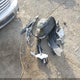 3N1BC1CP8CK293967 2012 Nissan Versa 1.8 S auction photo thumbnail 19