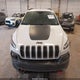 1C4PJMBB1HW513039 2017 Jeep Cherokee Trailhawk 4X4 auction photo thumbnail 12