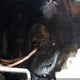 KNAFX5A83F5272638 2015 Kia Forte Ex auction photo thumbnail 6