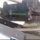 5NPE24AF5HH532949 2017 Hyundai Sonata auction photo thumbnail 9