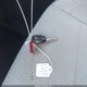 4T1BF1FKXGU153487 2016 Toyota Camry Se auction photo thumbnail 11
