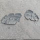 4T1BK1EB5EU120245 2014 Toyota Avalon Xle Premium auction photo thumbnail 12