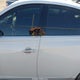 1N4BL4CW1RN361847 2024 Nissan Altima Sr Intelligent Awd auction photo thumbnail 15