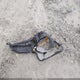 1FM5K7D80FGC01790 2015 Ford Explorer Xlt auction photo thumbnail 12