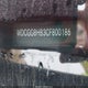 WDCGG8HB3CF800186 2012 Mercedes-Benz Glk 350 4Matic auction photo thumbnail 9