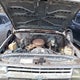 2GCEC14H3F1200631 1985 Chevrolet C10 auction photo thumbnail 10