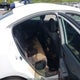 4S3GKAD63N3609313 2022 Subaru Impreza Premium auction photo thumbnail 8