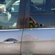 5FNYF5H5XKB020341 2019 Honda Pilot Ex-L auction photo thumbnail 14