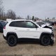 1C4PJMBX3LD587322 2020 Jeep Cherokee Trailhawk 4X4 auction photo thumbnail 13
