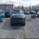 1C4PJMBS8HW591222 2017 Jeep Cherokee Trailhawk 4X4 auction photo thumbnail 13