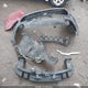 JN8BT3DD5PW310882 2023 Nissan Rogue Platinum Intelligent Awd auction photo thumbnail 19