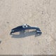 1HGCR2F87EA228981 2014 Honda Accord Ex-L auction photo thumbnail 12