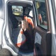 ZACCJBDT5FPC22725 2015 Jeep Renegade Limited auction photo thumbnail 8