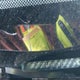JHMCP26449C017585 2009 Honda Accord 2.4 Lx-P auction photo thumbnail 18