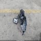 1FATP8UH6P5110139 2023 Ford Mustang Ecoboost Premium auction photo thumbnail 12