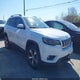 1C4PJMDN8KD179747 2019 Jeep Cherokee Limited 4X4 auction photo thumbnail 1