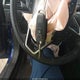 3FA6P0H76GR274696 2016 Ford Fusion Se auction photo thumbnail 11