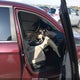 1HGCR2F83DA232766 2013 Honda Accord Ex-L auction photo thumbnail 5