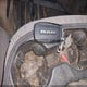 3C6UR5HJ6NG272032 2022 Ram 2500 Tradesman 4X4 8' Box auction photo thumbnail 11
