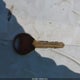 1N6ED27T13C464081 2003 Nissan Frontier Xe-V6 auction photo thumbnail 11