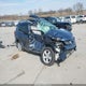 2T3RFREV6DW029406 2013 Toyota Rav4 Xle auction photo thumbnail 1