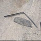 1FADP3K29FL373564 2015 Ford Focus Se auction photo thumbnail 12