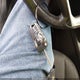2GNALBEK6F1101968 2015 Chevrolet Equinox 1Lt auction photo thumbnail 11