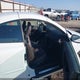 YV1672MC4CJ128093 2012 Volvo C70 T5/T5 Platinum/T5 Premier Plus auction photo thumbnail 5