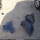 3N1CN8DV8SL857999 2025 Nissan Versa 1.6 S auction photo thumbnail 12