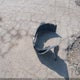 JHLRD68506C025828 2006 Honda Cr-V Lx auction photo thumbnail 12