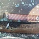 2HGES165X4H641281 2004 Honda Civic Lx auction photo thumbnail 9