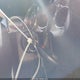1GCEC29J59Z193470 2009 Chevrolet Silverado 1500 Lt auction photo thumbnail 11