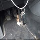 3VWB17AJ5EM206261 2014 Volkswagen Jetta 1.8T Se auction photo thumbnail 11