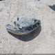 KMHCT4AE1FU809459 2015 Hyundai Accent Gls auction photo thumbnail 12