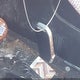 KNDNE5H36N6069220 2022 Kia Carnival Mpv Sx auction photo thumbnail 11
