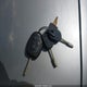 NM0LS6BN5BT073155 2011 Ford Transit Connect Xlt auction photo thumbnail 11
