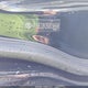 4T1BE32K35U034648 2005 Toyota Camry Le auction photo thumbnail 9