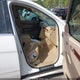 4JGCB65E17A056107 2007 Mercedes-Benz R 350 4Matic auction photo thumbnail 5