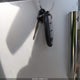 JN8AS5MV2BW258882 2011 Nissan Rogue Sv auction photo thumbnail 11