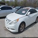 5NPEB4AC9DH594256 2013 Hyundai Sonata Gls auction photo thumbnail 2