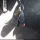 WDBTK56G16T069438 2006 Mercedes-Benz Clk 350 auction photo thumbnail 11